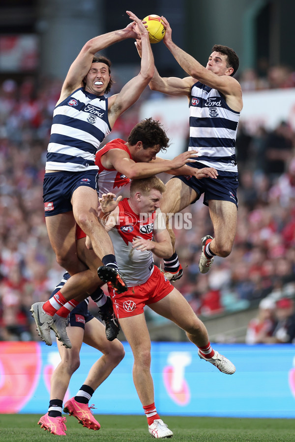 AFL 2024 Round 13 - Sydney v Geelong - A-50692770