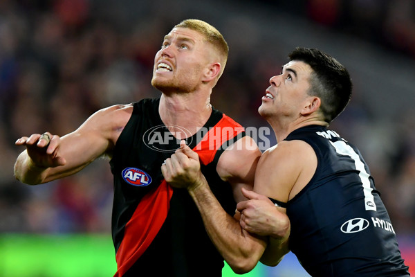 AFL 2024 Round 13 - Essendon v Carlton - A-50705724