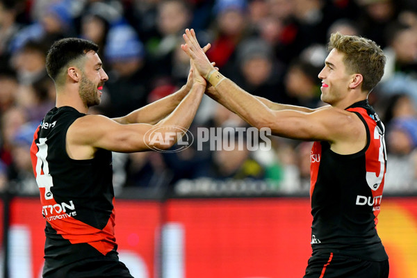 AFL 2024 Round 13 - Essendon v Carlton - A-50706675