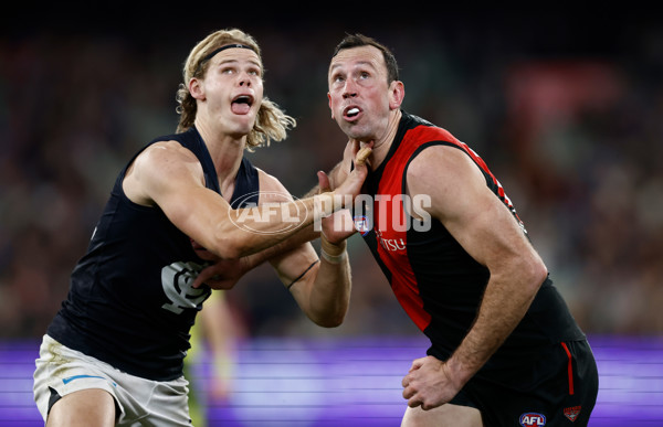 AFL 2024 Round 13 - Essendon v Carlton - A-50706684
