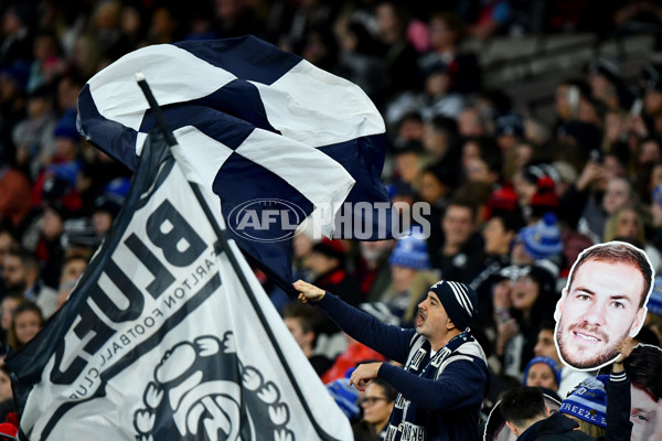 AFL 2024 Round 13 - Essendon v Carlton - A-50709265