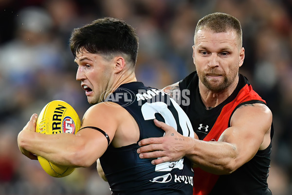 AFL 2024 Round 13 - Essendon v Carlton - A-50711704