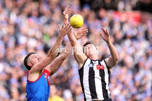 AFL 2024 Round 13 - Collingwood v Melbourne - A-50717093