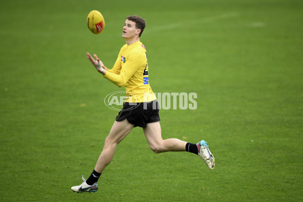 AFL 2024 Training - Richmond 130624 - A-50772077