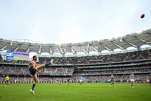 AFL 2024 Round 13 - West Coast v North Melbourne - A-50922248
