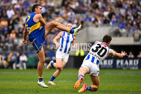 AFL 2024 Round 13 - West Coast v North Melbourne - A-50922265