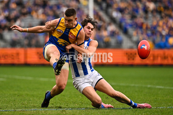 AFL 2024 Round 13 - West Coast v North Melbourne - A-50922267