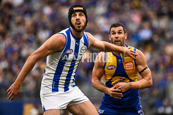 AFL 2024 Round 13 - West Coast v North Melbourne - A-50922269