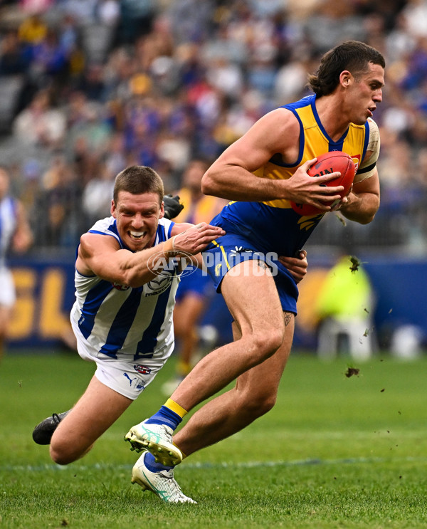 AFL 2024 Round 13 - West Coast v North Melbourne - A-50922271