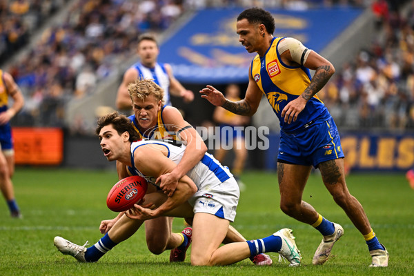 AFL 2024 Round 13 - West Coast v North Melbourne - A-50922273