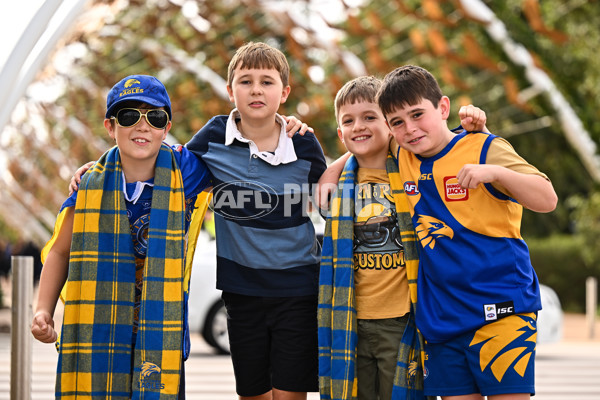 AFL 2024 Round 13 - West Coast v North Melbourne - A-50923420