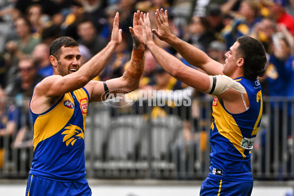 AFL 2024 Round 13 - West Coast v North Melbourne - A-50923456