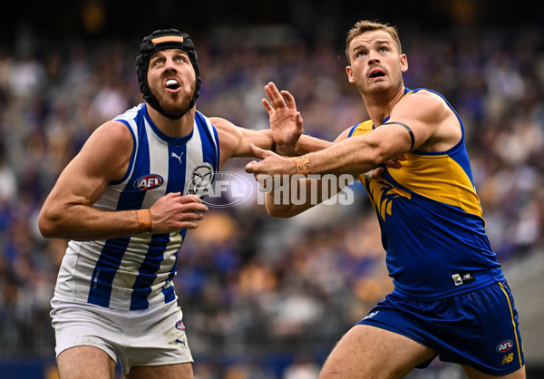 AFL 2024 Round 13 - West Coast v North Melbourne - A-50923458