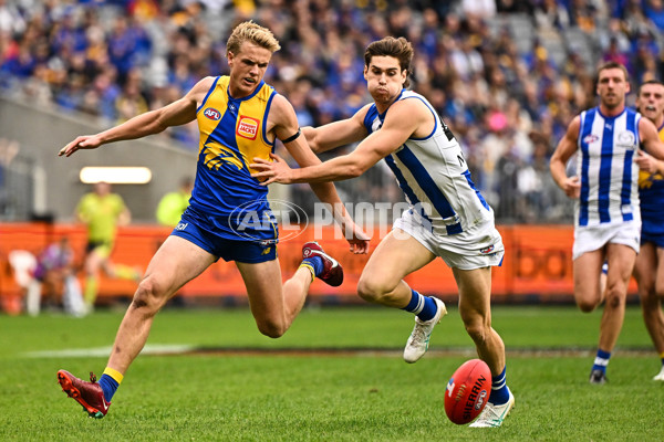 AFL 2024 Round 13 - West Coast v North Melbourne - A-50923461