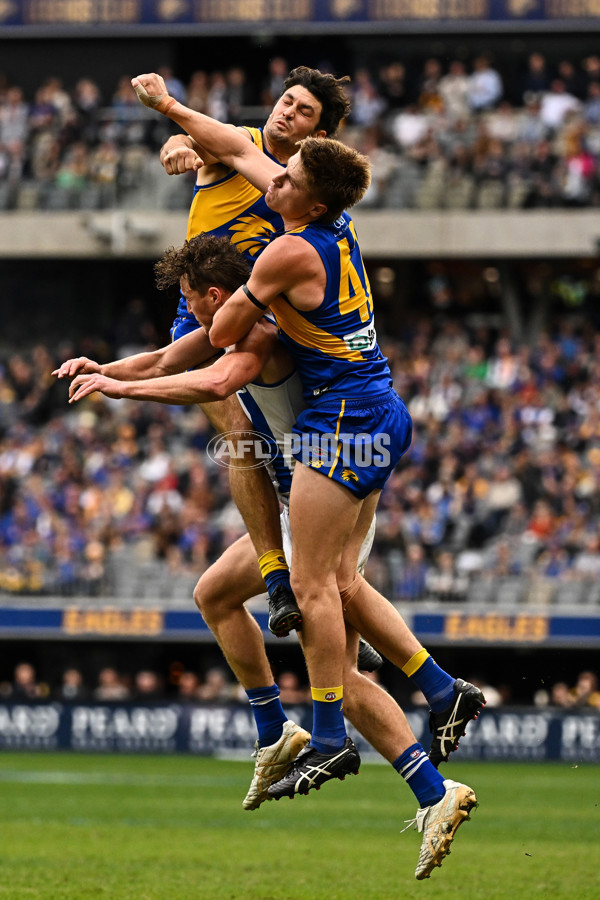 AFL 2024 Round 13 - West Coast v North Melbourne - A-50923483