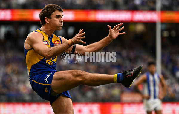 AFL 2024 Round 13 - West Coast v North Melbourne - A-50923485
