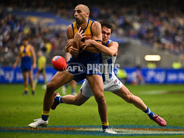 AFL 2024 Round 13 - West Coast v North Melbourne - A-50923490