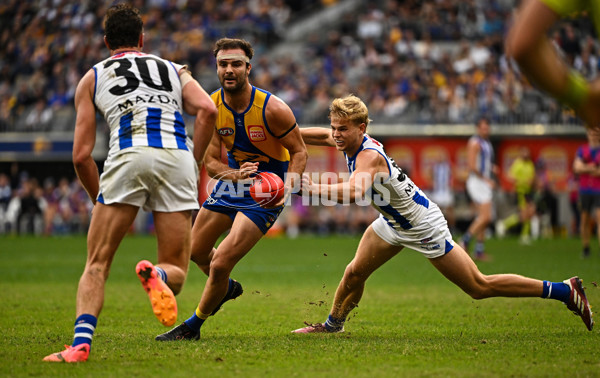 AFL 2024 Round 13 - West Coast v North Melbourne - A-50923492