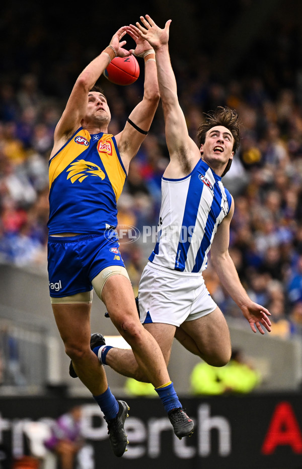 AFL 2024 Round 13 - West Coast v North Melbourne - A-50931272