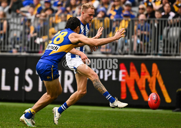 AFL 2024 Round 13 - West Coast v North Melbourne - A-50931274