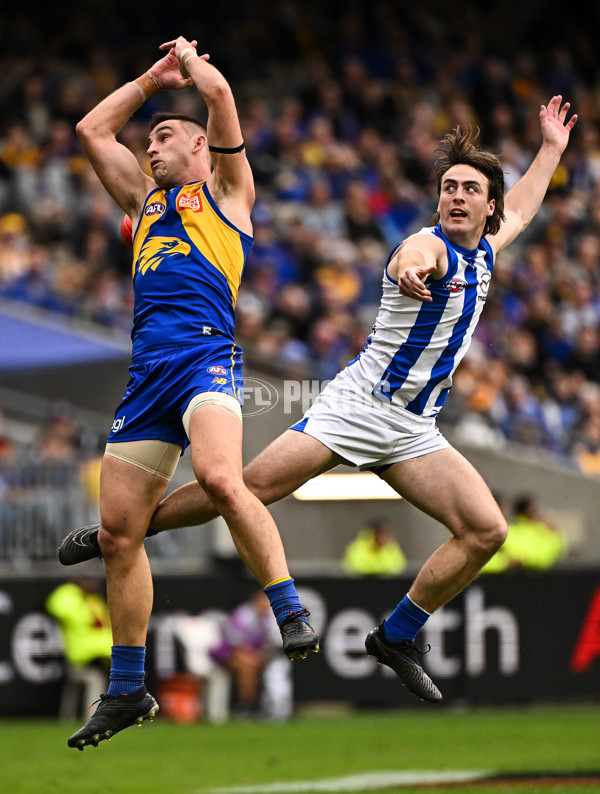 AFL 2024 Round 13 - West Coast v North Melbourne - A-50931279