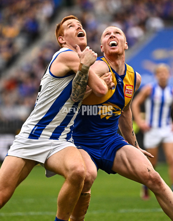 AFL 2024 Round 13 - West Coast v North Melbourne - A-50931297