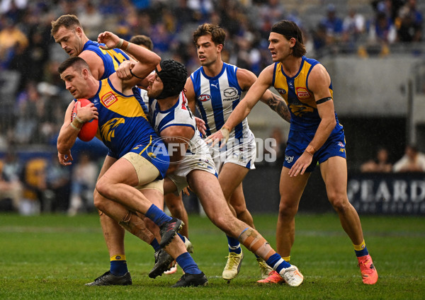 AFL 2024 Round 13 - West Coast v North Melbourne - A-50931301