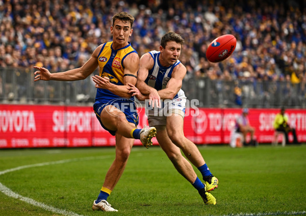 AFL 2024 Round 13 - West Coast v North Melbourne - A-50931302