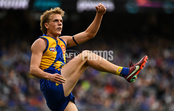 AFL 2024 Round 13 - West Coast v North Melbourne - A-50931304