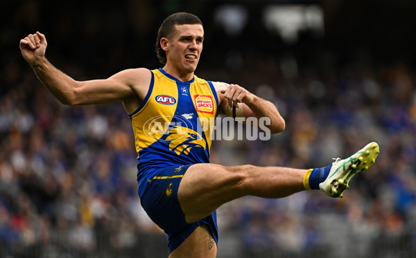 AFL 2024 Round 13 - West Coast v North Melbourne - A-50931308