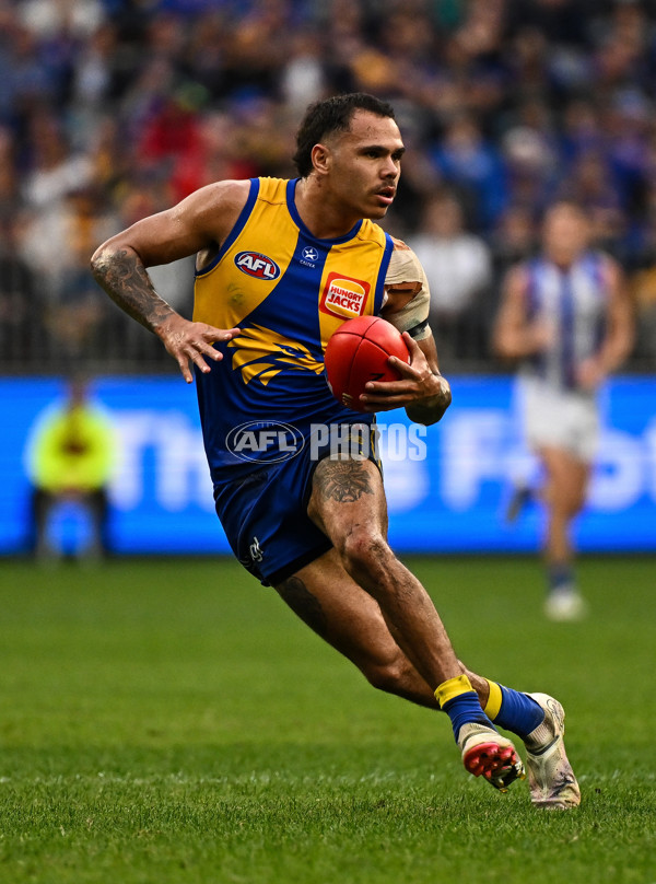 AFL 2024 Round 13 - West Coast v North Melbourne - A-50931309