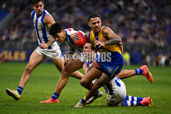 AFL 2024 Round 13 - West Coast v North Melbourne - A-50931352