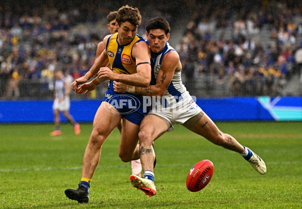 AFL 2024 Round 13 - West Coast v North Melbourne - A-50932078