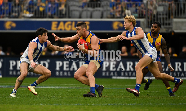AFL 2024 Round 13 - West Coast v North Melbourne - A-50932079