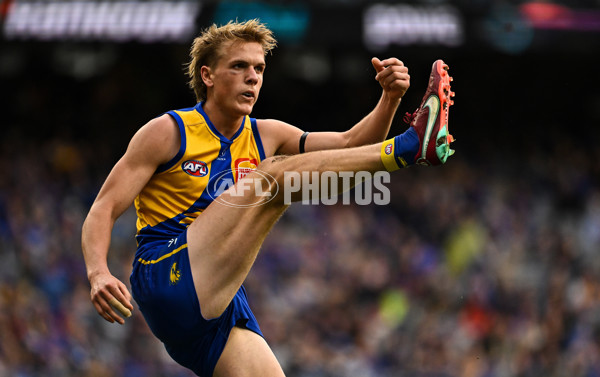 AFL 2024 Round 13 - West Coast v North Melbourne - A-50932082