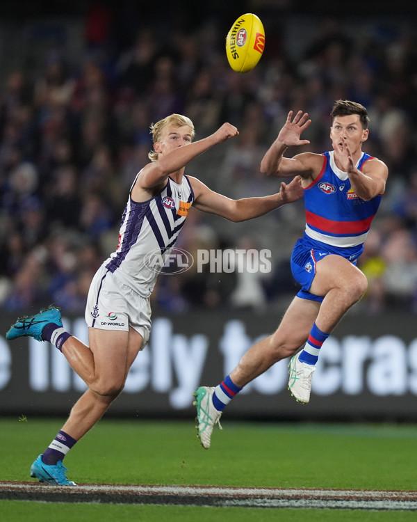 AFL 2024 Round 14 - Western Bulldogs v Fremantle - A-50999910