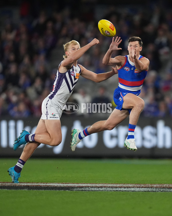 AFL 2024 Round 14 - Western Bulldogs v Fremantle - A-51000420