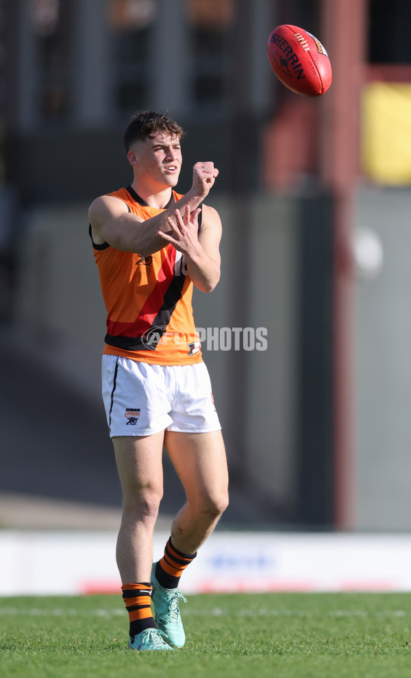 Coates League Boys 2024 - Eastern Ranges v Calder Cannons - A-51007754