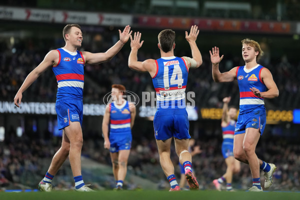 AFL 2024 Round 14 - Western Bulldogs v Fremantle - A-51007772