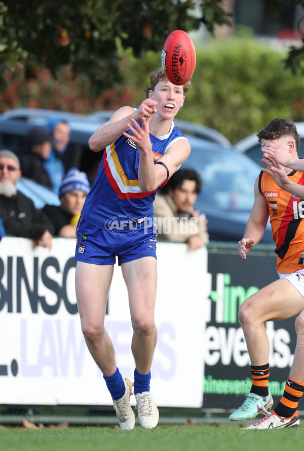 Coates League Boys 2024 - Eastern Ranges v Calder Cannons - A-51008479