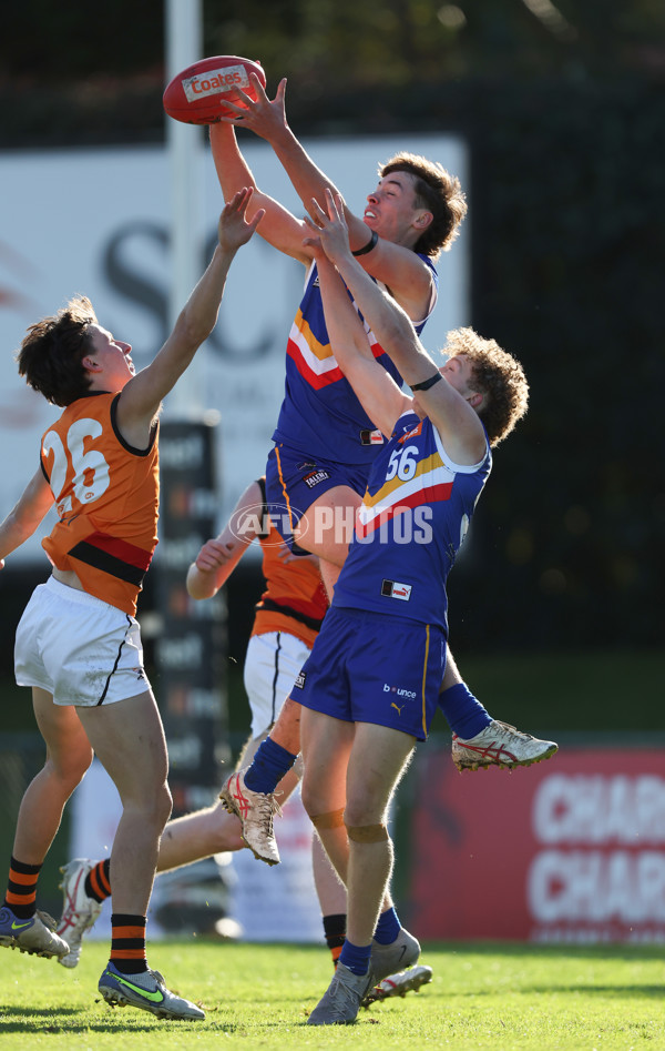 Coates League Boys 2024 - Eastern Ranges v Calder Cannons - A-51010585