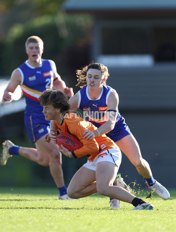 Coates League Boys 2024 - Eastern Ranges v Calder Cannons - A-51011075