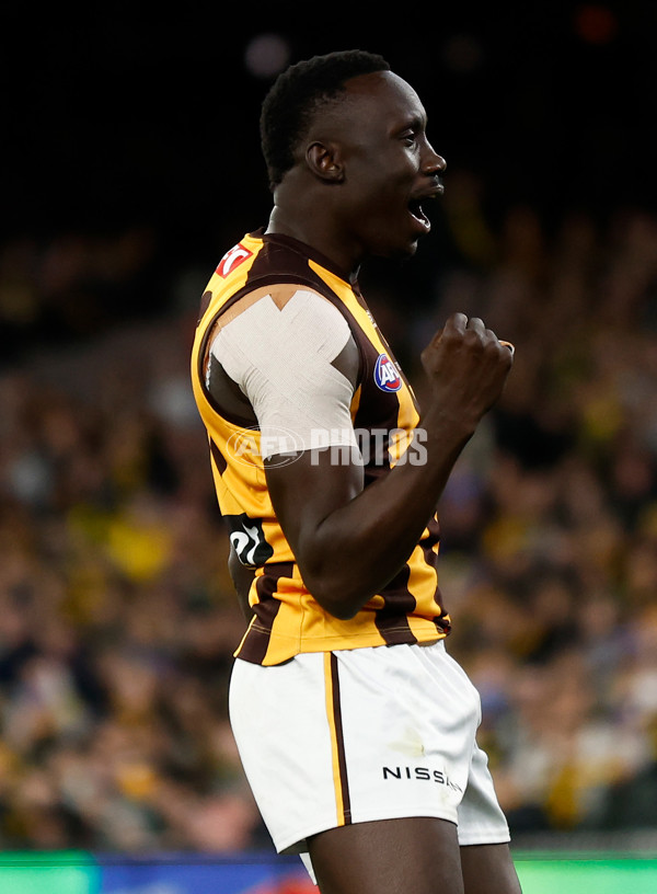 AFL 2024 Round 14 - Richmond v Hawthorn - A-51011158