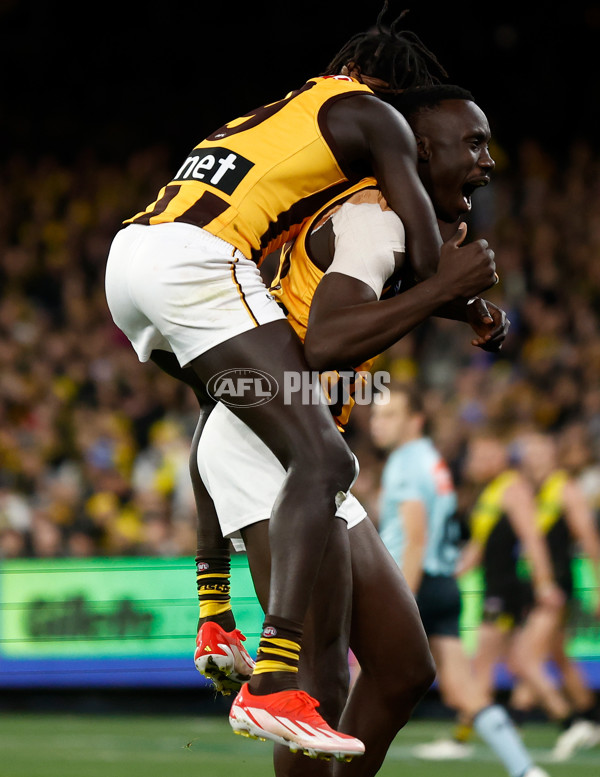 AFL 2024 Round 14 - Richmond v Hawthorn - A-51012904