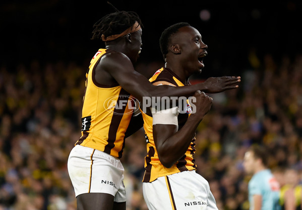 AFL 2024 Round 14 - Richmond v Hawthorn - A-51012905