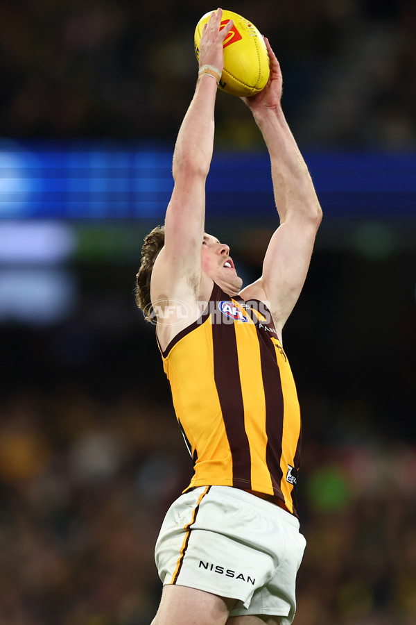 AFL 2024 Round 14 - Richmond v Hawthorn - A-51012907