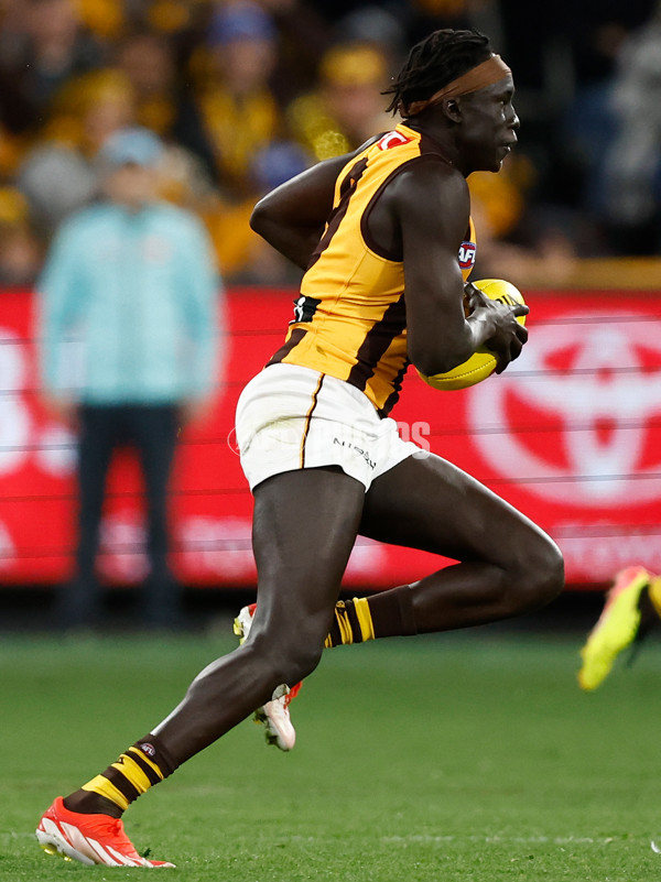 AFL 2024 Round 14 - Richmond v Hawthorn - A-51012909