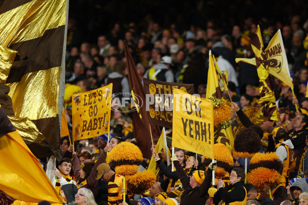 AFL 2024 Round 14 - Richmond v Hawthorn - A-51012924