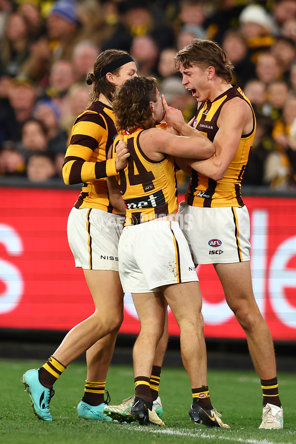 AFL 2024 Round 14 - Richmond v Hawthorn - A-51012976