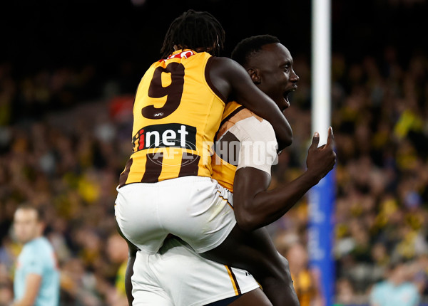 AFL 2024 Round 14 - Richmond v Hawthorn - A-51013586
